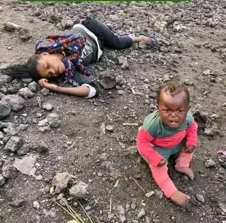 Image de l'actualité